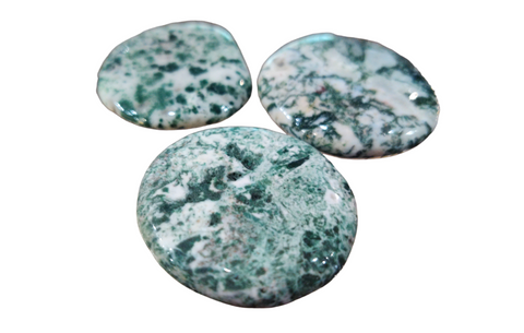 Tree Agate Palm Stone