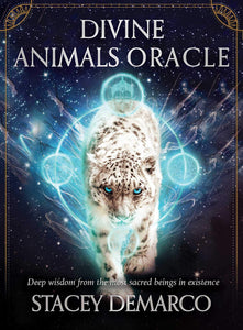 Divine Animals Oracle - Stacey Demarco