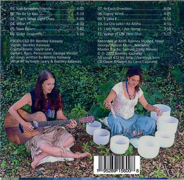 Sister Dragonfly cd Bentley Kalaway - Gayle Leary